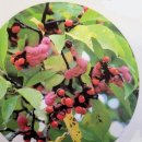 목련나무집 이미지