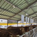 서귀포시축협 이미지