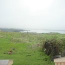 등머울 민박 이미지