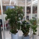 비타스터디카페 이미지