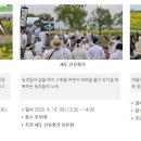 세도 가회리 장군제 이미지