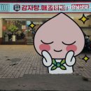 본가왕뼈 감자탕·해장국 서초점 이미지