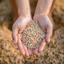 마인드짐 이미지