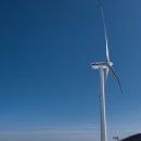 미숙목장 이미지