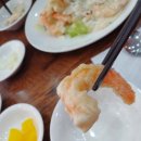 진샤이