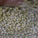 태백순두부 이미지