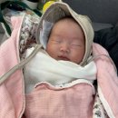다온미즈 | 천안 아산 배방 다온미래 산후조리원 13박 14일 가격 및 프로그램 후기