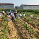 평동농장 이미지