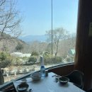 부산 범어사백숙 맛집 벚꽃구경하기 좋은곳 둥지가든