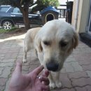 꿈꾸는풍차2 이미지