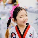 국가대표 S 태권도 네이버블로그