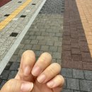 대전 [상대동] 건식 네일 받은 후기 / 네일리온