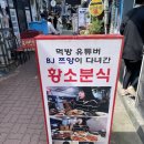 황소분식 | 울릉도 저동항 황소분식 – 쯔양도 반한 오징어튀김 & 분식 솔직 후기