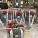 엘가플라워갤러리 | 삼성역 코엑스 꽃집 카페 엘가플라워갤러리 꽃다발 내돈내산 후기