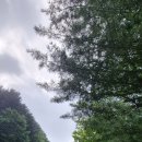 승안2리 마을회관 이미지