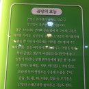 북부그릇 이미지