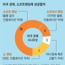 소프트랜딩