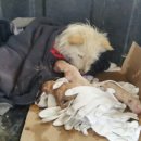 민아농장 이미지