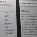 평창 상원사 영산전 석가삼존·십육나한상 및 권속 이미지