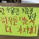 호뚱이네정육점 이미지