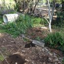 호근농장 이미지