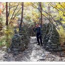 강릉 노추산 힐링캠프 이미지