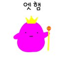 코코니주방