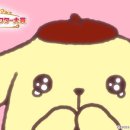 퍼피클럽 이미지