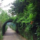 까치공원 맞은편 이미지