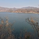 W지우리조트 | 남이섬 자라섬 근처 숙소 W지우리조트 로얄 듀플렉스 내돈내산 리뷰