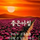 헤드라인 뉴스(20년10월28일) 이미지