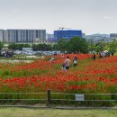 수원농장 이미지