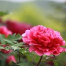 신대생생한의원 이미지