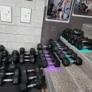 크로스핏 본 이미지