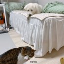 해담쓰담