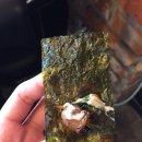 역전할머니맥주 원종점 이미지