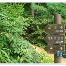 모봉길 이미지
