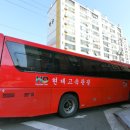 전북태권도 교육관 | [전주 국가대표상무태권도] 딸기체험 그리고 태권도에서놀자🥋❤️_ 19.03