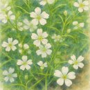 선행정사사무소 이미지