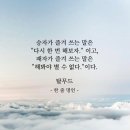 스타칼리 이미지