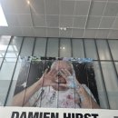 열린정문약국 | 데미안 허스트 개인전 솔직 후기