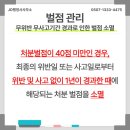 양주 행정사 사무소 이미지