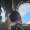 정성한식부페 | [제주] 더 시에나 리조트 | 서귀포 숙소 | 18개월아기랑 연말 크리스마스 호캉스 | 2박3일 1️⃣