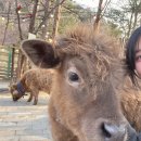 굽네치킨 포천점 | 3월 일기 2