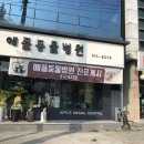 애플동물병원 이미지