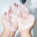 에스엔티 주목나무 줄기세포배양액 폼클렌징 / SN 약알칼리성 클렌징폼
