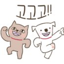 언양비닐 이미지