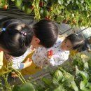 재원농장 이미지