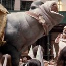 옥자축사 이미지