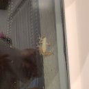 스테이 담다 | [안동 숙소 추천] 9개월 아기와 6인 가족 독채 키즈 펜션 '더담다펜션' 스테이더담다2 후기